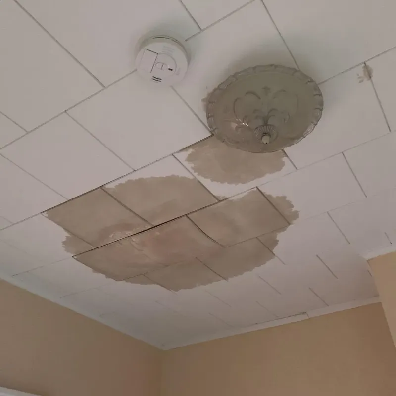 Ceiling Water Damage Repair in Hugo, OK