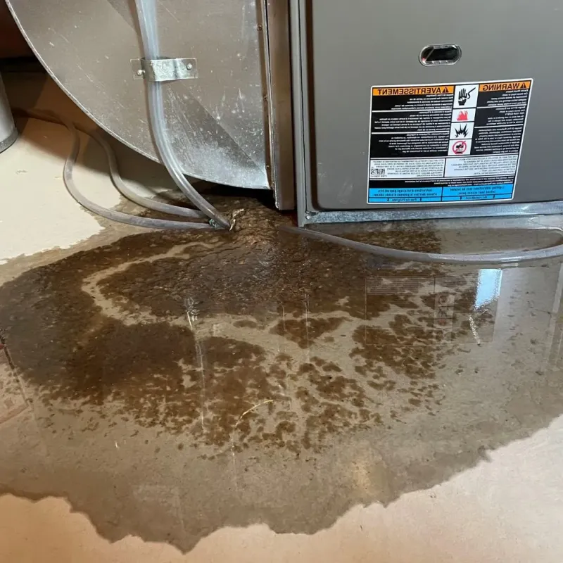 Pipe Burst and Leak Restoration in Hugo, OK