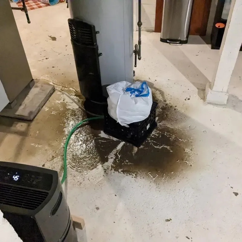 Sewage Backup Cleanup Service in Hugo, OK